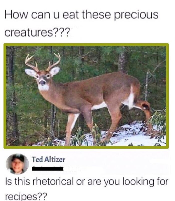 Meme showing a deer in forest with humorous text and a funny comment, part of funniest memes collection