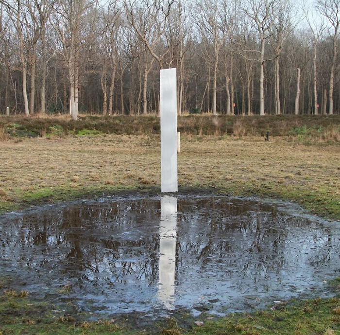 Shiny metal monolith in a field reflecting in a pool of water surrounded by leafless trees, a mystery baffling people.