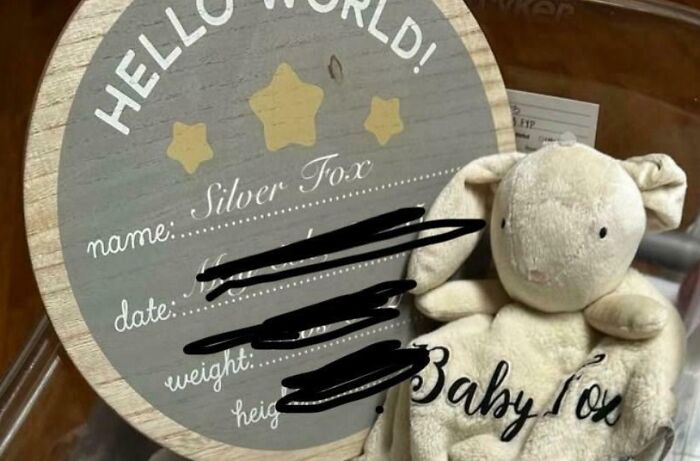 Wooden baby name board with a plush toy, highlighting unique baby names parents loved but others judged.