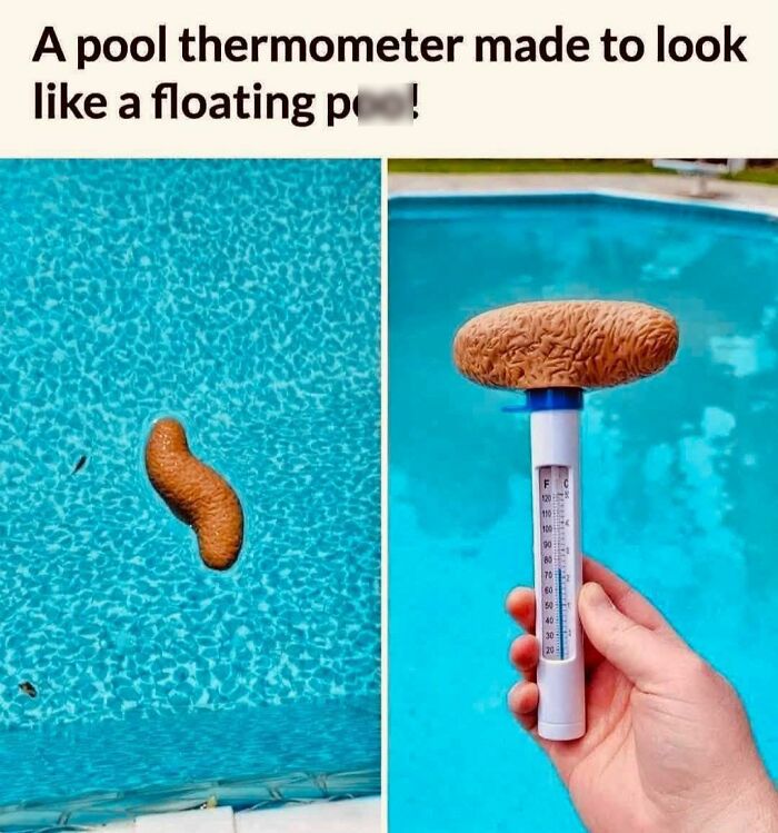 Pool thermometer designed to look like a floating craft with a humorous and unusual appearance.