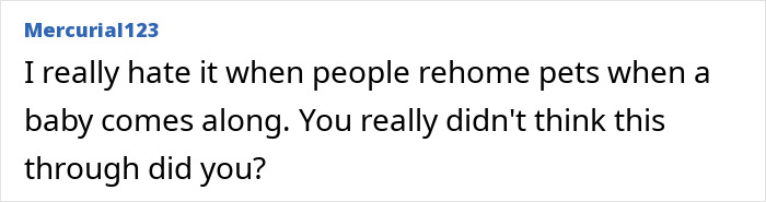 Comment expressing frustration about people choosing to rehome cats when having a baby, related to refusing let rehome cat.