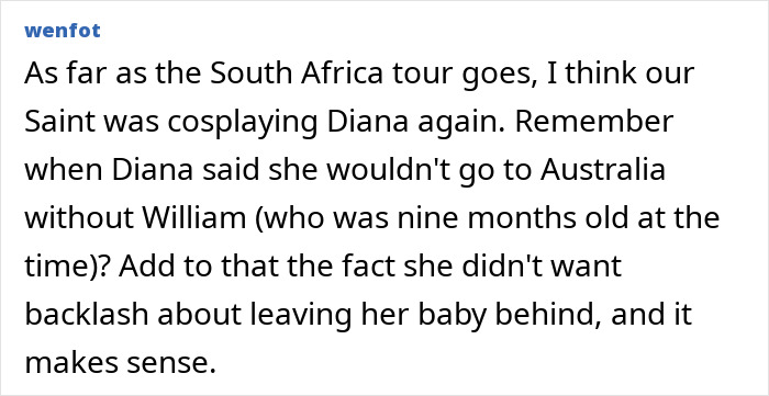 Comment discussing Meghan Markle accused of treating her kids like accessories during a flight attendant's revelation.
