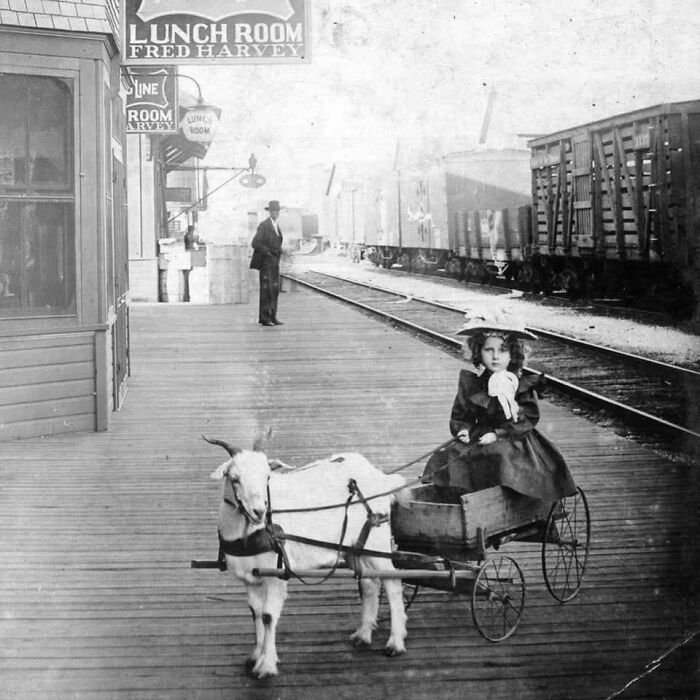Young girl in Victorian dress riding a goat cart at a train station in a fascinating historical photo.