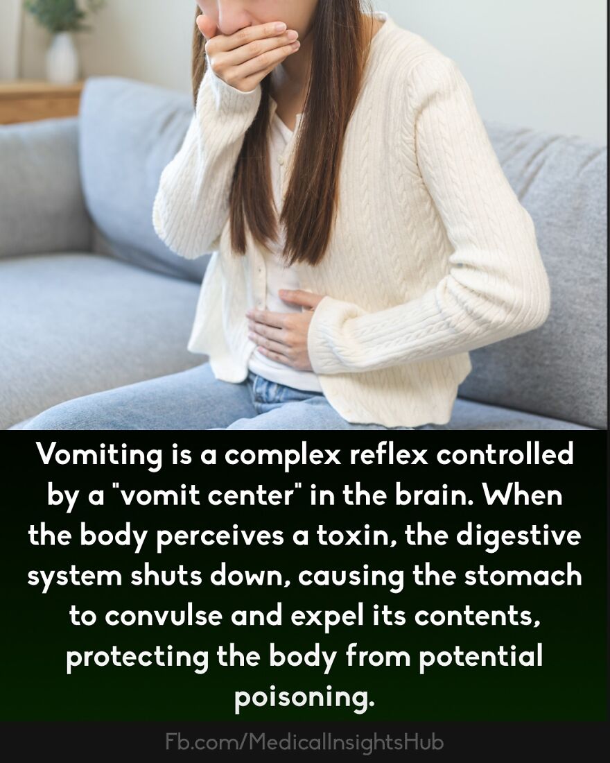 Woman holding her mouth and stomach seated on a couch, illustrating medical facts about fingers containing no muscles.