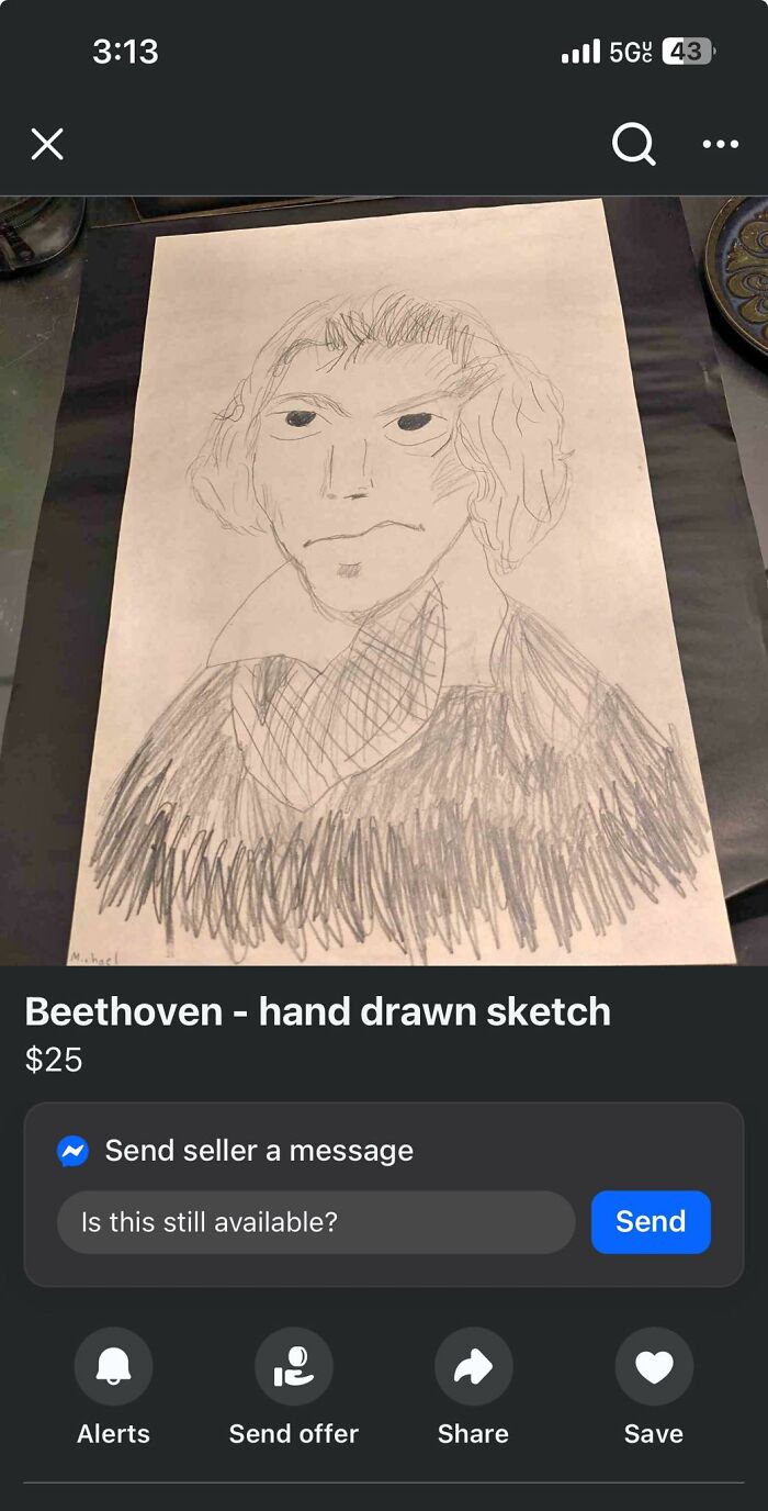 Sketch of Beethoven with rough pencil lines, an example of a craft shaming DIY project with amateur drawing quality.