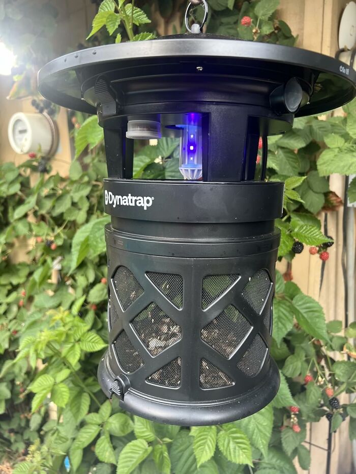 Dynatrap mosquito trap hanging outdoors among green leaves, offering genius ways to fix all your little glitches.