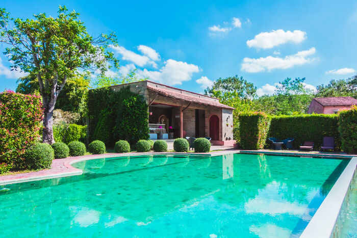 Luxurious backyard with large swimming pool, manicured greenery, and rich people flaunting wealth under a bright blue sky.
