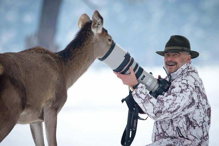 Wildlife photographer in winter gear having camera lens investigated by a curious deer while photographing animals in nature.