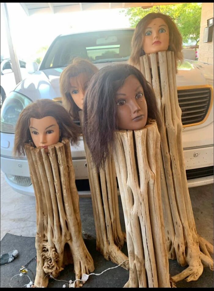 Four creepy mannequin heads mounted on driftwood stands in a bizarre DIY craft project gone wrong.
