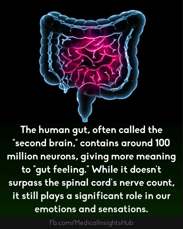 50 Cool And Interesting Medical Facts You Might Not Know About Your Own Body And Health