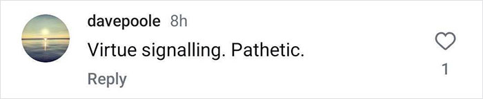 Screenshot of a social media comment calling a plane passenger making a salad mid-flight pathetic and virtue signalling. Screenshot of a social media comment calling a plane passenger making a salad mid-flight pathetic and virtue signalling.