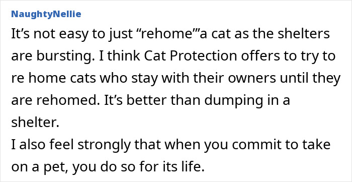 Comment discussing the challenges of refusing to let rehome cat and the importance of responsible pet commitment.