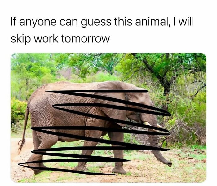 Elephant in a forest with text about skipping work, illustrating a funny work meme to keep you going until Friday.