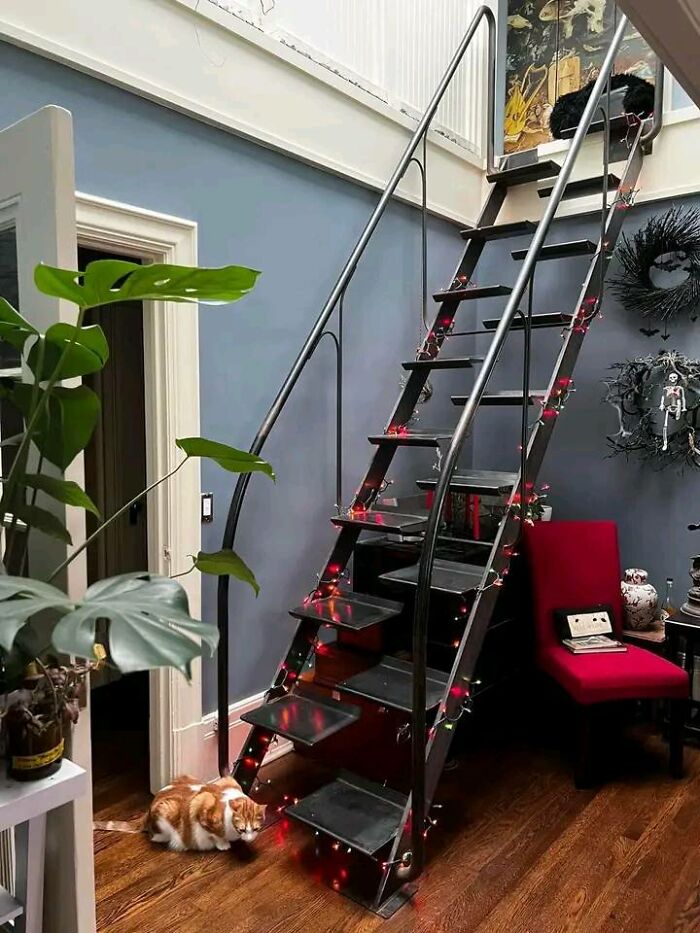 Steep death stairs with black metal steps and red string lights in a cozy room with a cat and plants nearby.