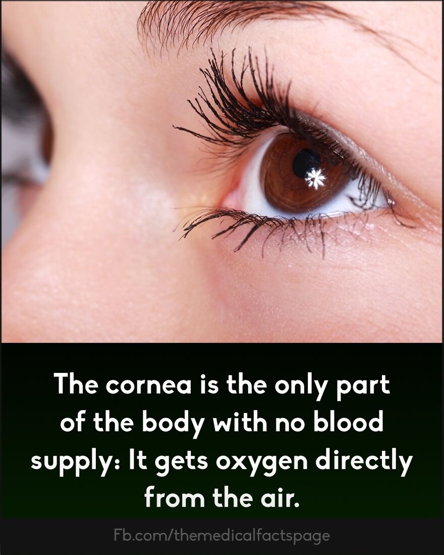 Close-up of a human eye highlighting a curious medical fact related to fingers containing no muscles.