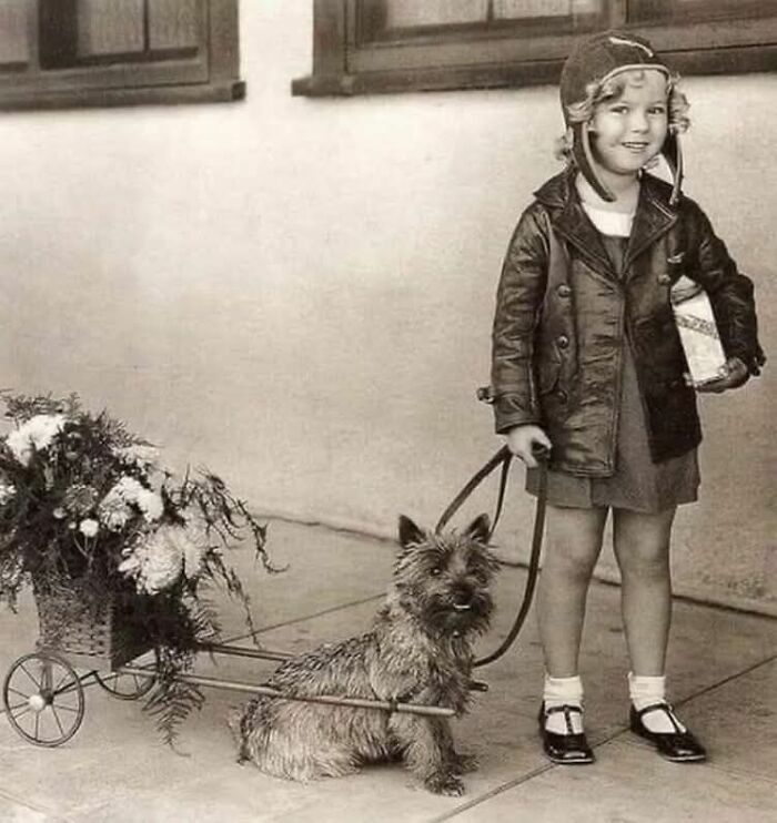 Young child in vintage clothes holding a leash attached to a dog pulling a small flower cart in a historical photo.