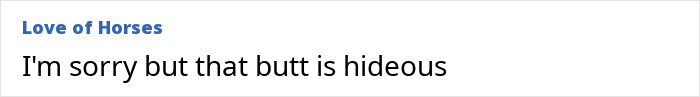 Screenshot of a comment stating opinion about BBL results, highlighting negative experience with butt appearance.