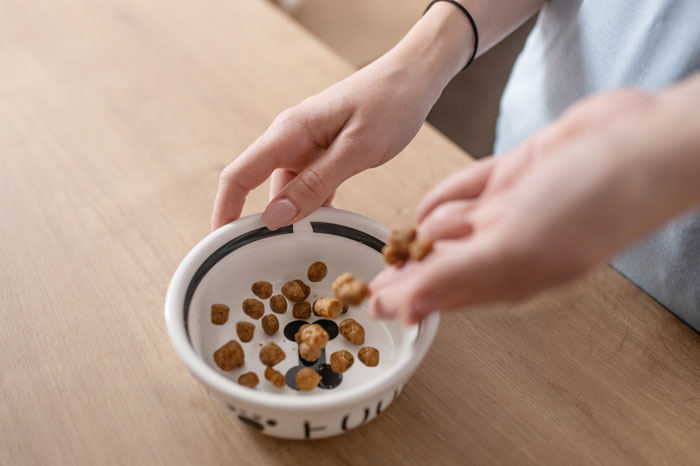 Person filling a bowl with cat food, illustrating a cat-sitter feeding a pet in a home setting.