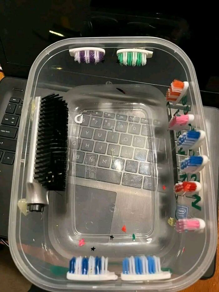 DIY project fails with toothbrush heads glued inside plastic container as a craft shaming example of horrendous DIY projects.