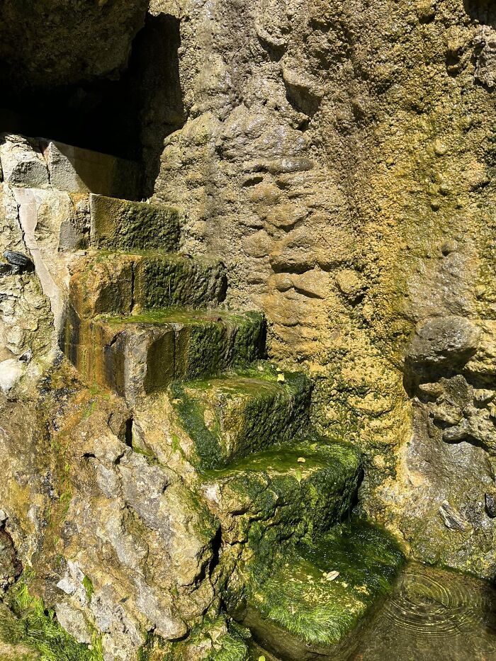 Moss-covered stone death stairs leading upward beside a textured rock wall with water pooling at the base.