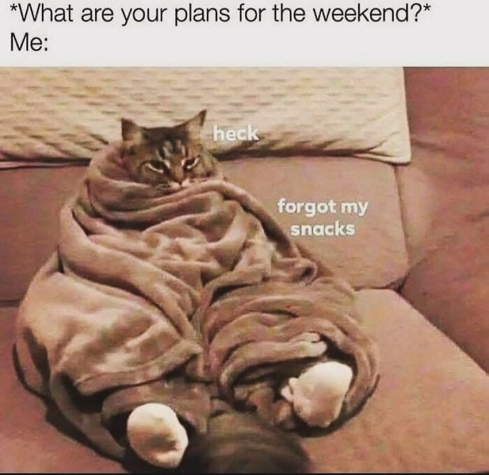 Cat wrapped in blanket on couch with text about forgetting snacks, a meme perfectly summing up everyday life as an introvert.