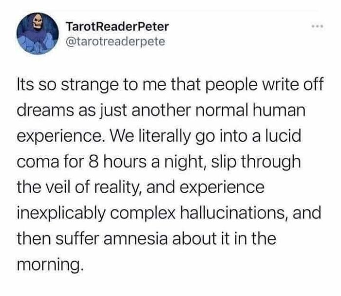 Meme text about human experience of dreaming as lucid coma and complex hallucinations with relatable humor.