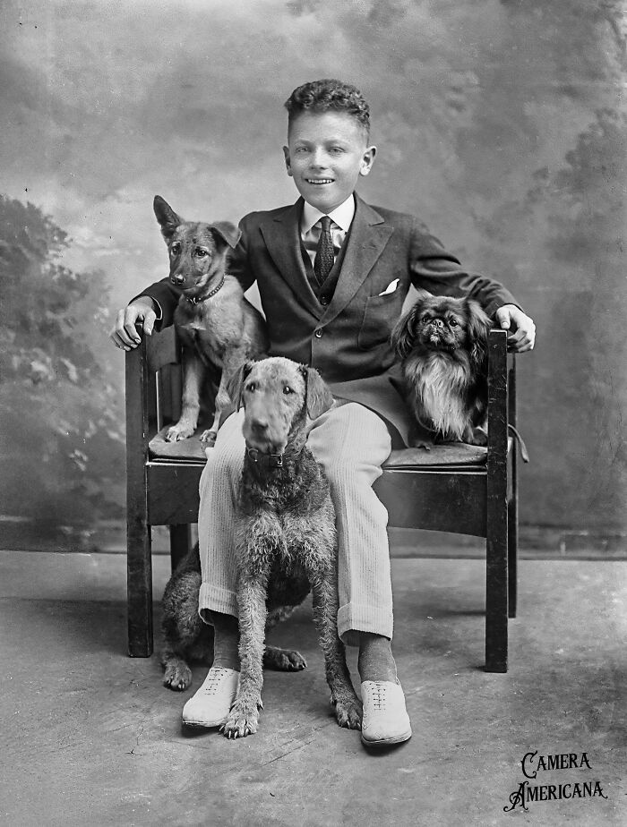 Young boy in a vintage suit sitting with three dogs in a classic black and white historical photo portrait.