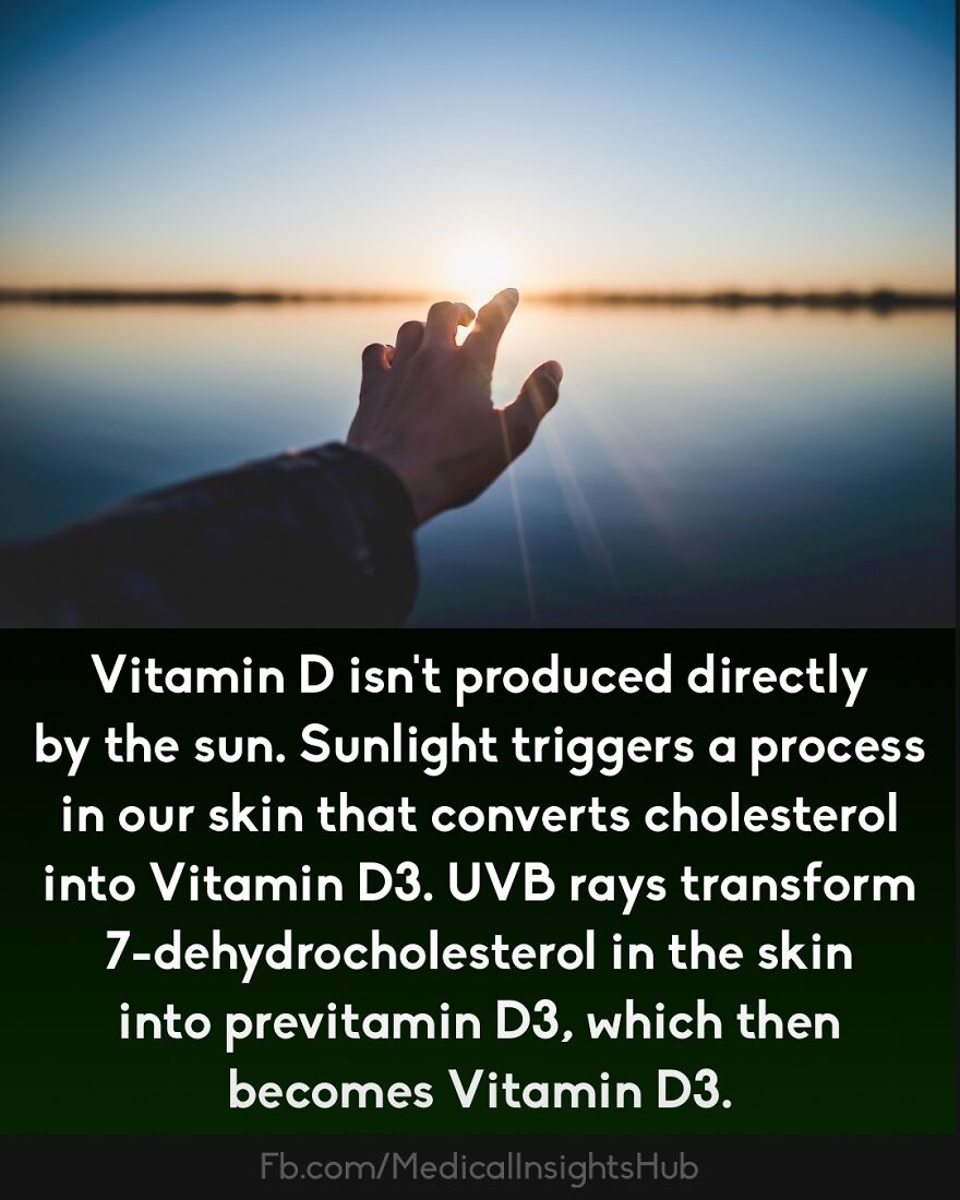 Hand reaching towards the sunlight over water, illustrating curious medical facts about fingers containing no muscles.