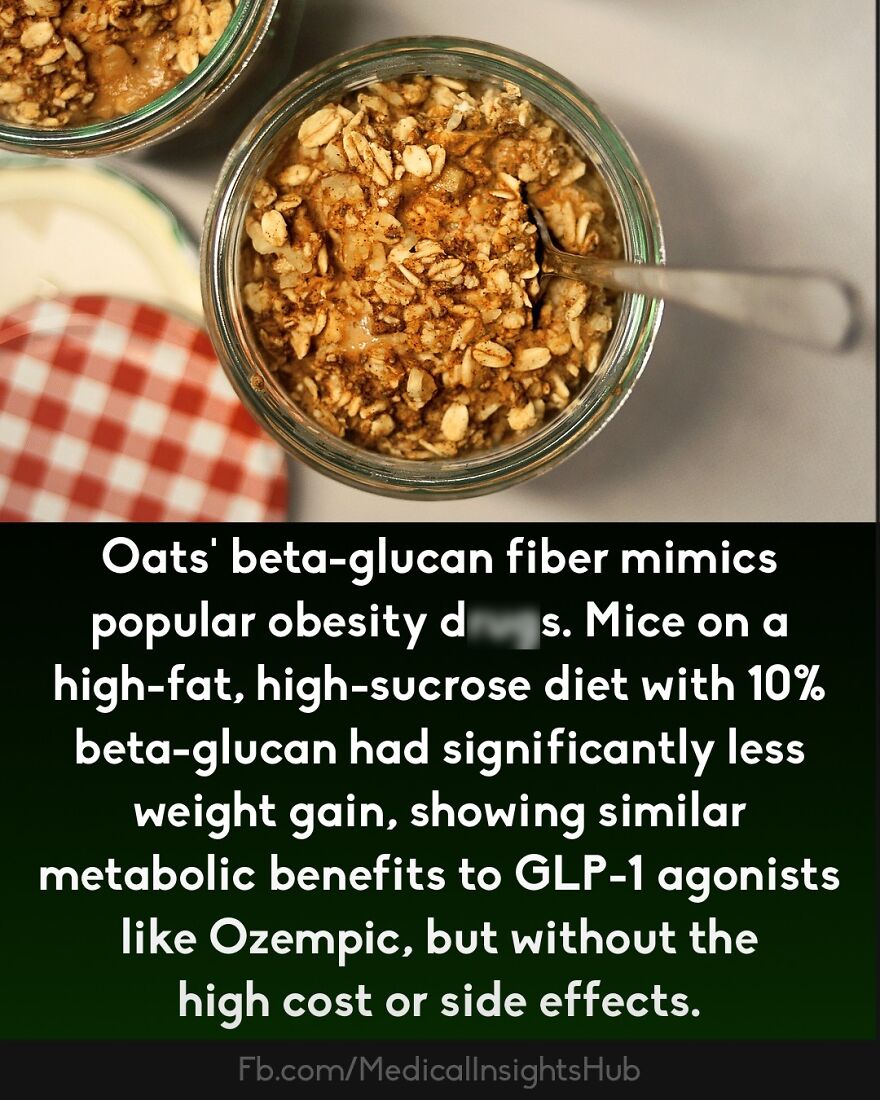 Close-up of oats with beta-glucan fiber highlighting health benefits related to obesity in medical facts.