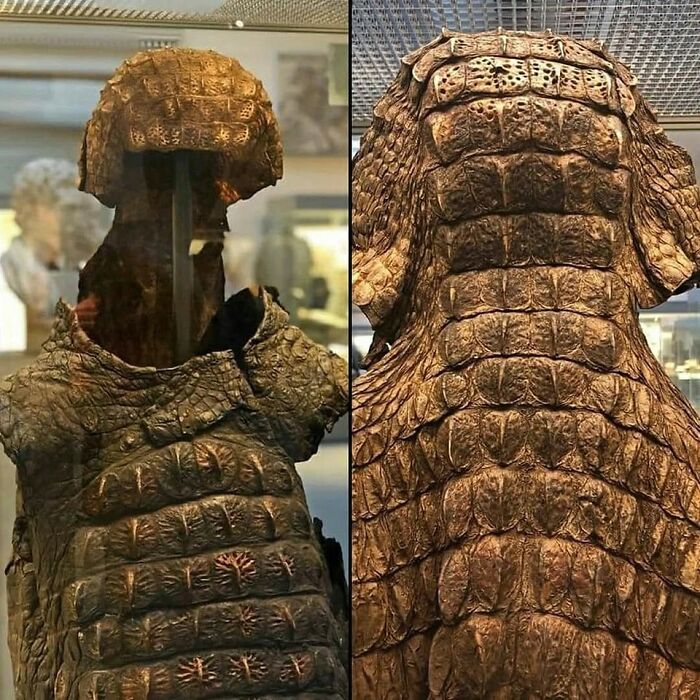 Ancient bronze armor with detailed turtle shell design displayed in a museum showcasing archaeology world artifacts.