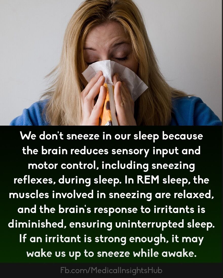 Woman blowing nose with tissue, illustrating a curious medical fact about muscles and sneezing reflex during sleep.