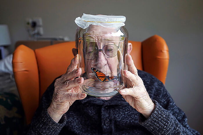 Wonder From The Series 'That Place He Goes' By Carole Mills Noronha