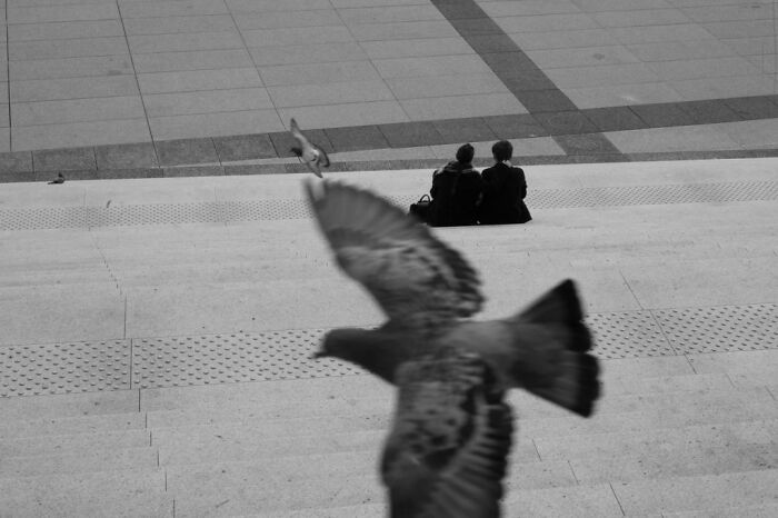 Black and white cinematic photo by Adriana Ferrarese showing two people sitting on steps with a blurred bird flying in the foreground.