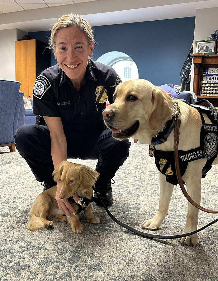 TSA officer smiling kneels with two working K9 dogs, highlighting airport security and canine enforcement unit.