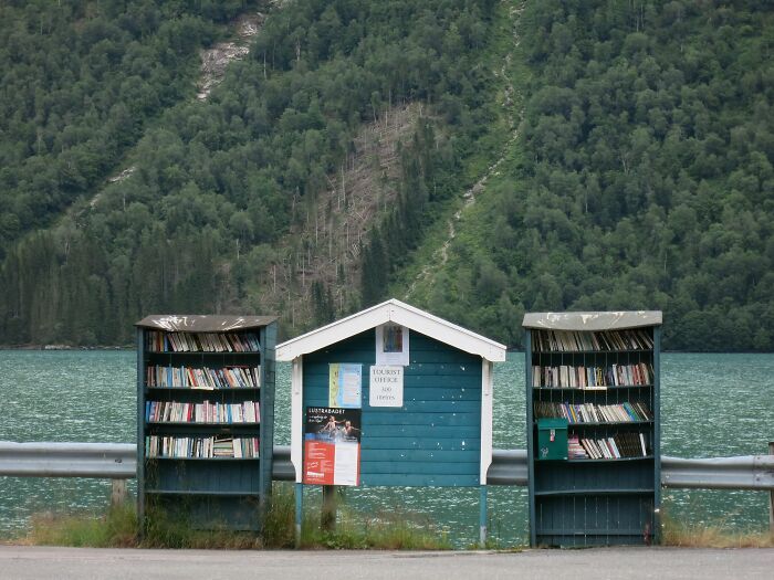 Outdoor lakeside bookstore shelves filled with books, surrounded by lush green trees and hills in the background.