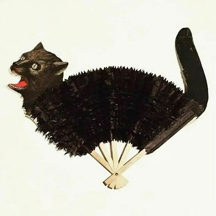 Vintage black cat-shaped hand fan with fur texture and wooden spokes, an unusual piece from history that looks confusing now.