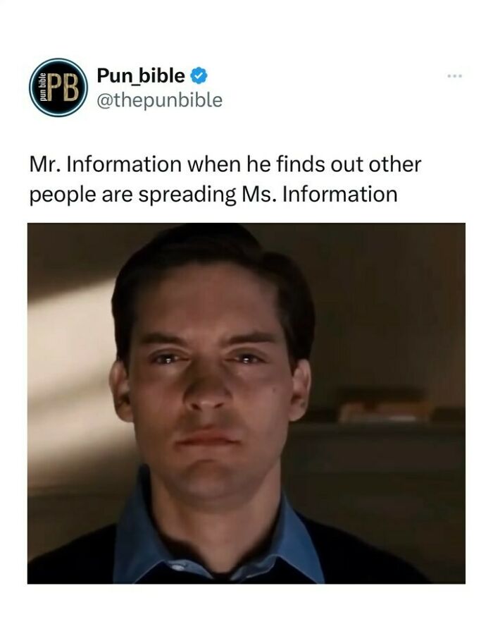 Screenshot of a pun meme showing a man’s serious face with wordplay about Mr. and Ms. Information humor.