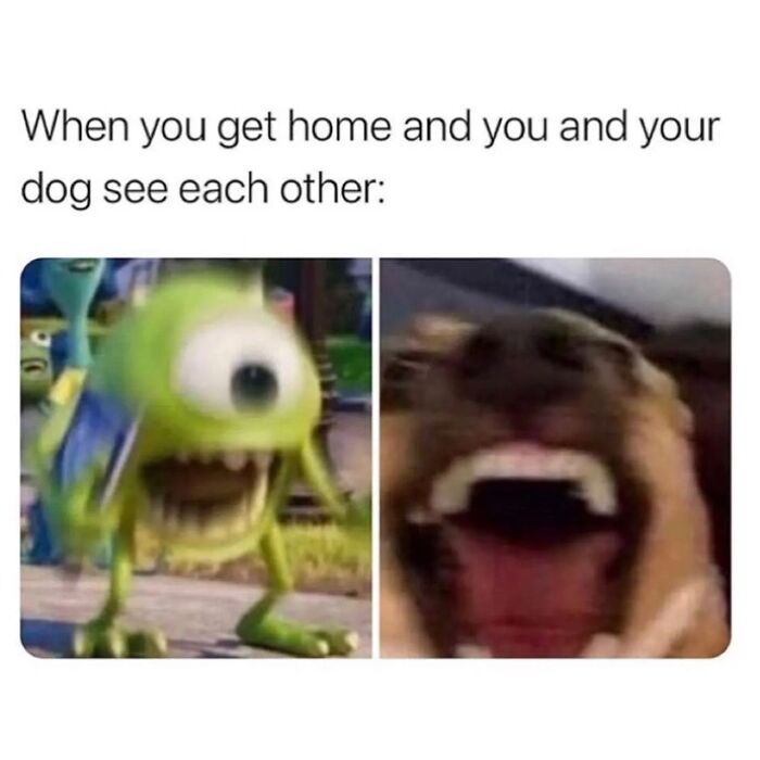 Blurry excited monster and dog images showing relatable energy of meeting your dog at home meme reaction.