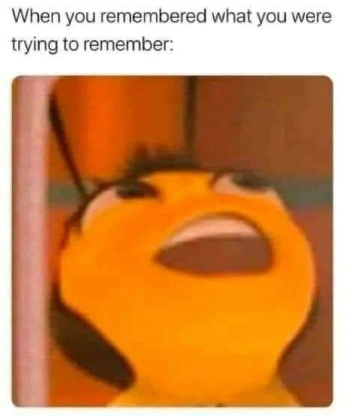 Meme showing a surprised bee face with caption about finally remembering what you were trying to remember relatable energy.