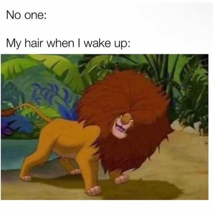 Cartoon lion with wild, messy hair illustrating relatable energy meme about morning hair struggles.
