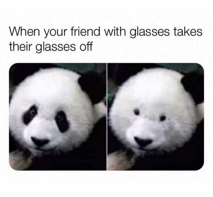 Panda images showing difference in appearance with and without glasses illustrating relatable energy in funny memes.