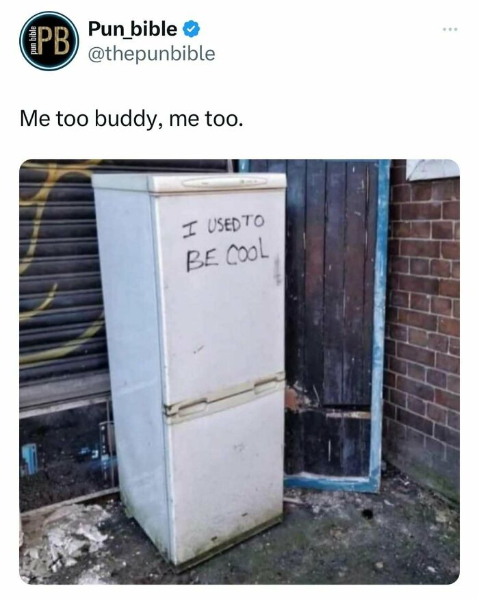 Old refrigerator outside with graffiti saying I used to be cool, a funny pun meme about wordplay comedy.