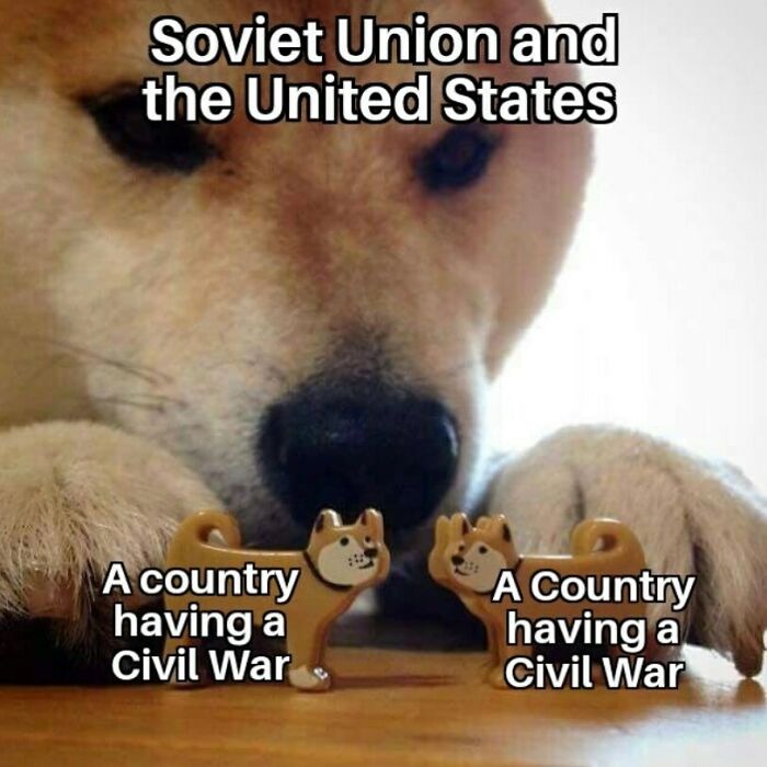 Dog looking closely at two small dog figurines labeled as countries having a civil war, related to history memes.