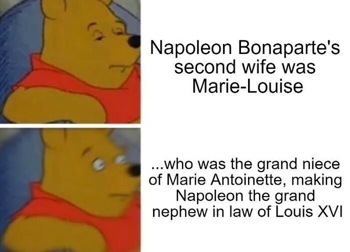 Winnie the Pooh meme explaining Napoleon Bonaparte’s family ties with Marie-Louise and Louis XVI in history memes.