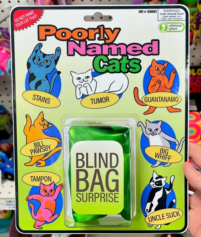 Packaging of a fake product called Poorly Named Cats with humorous cat names, from a prank sneaking fake products into stores.