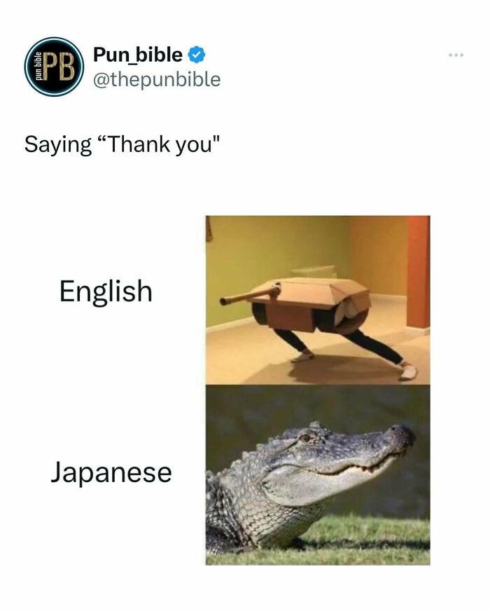 Pun meme showing English as a person in a tank costume and Japanese as a smiling alligator, illustrating wordplay comedy.