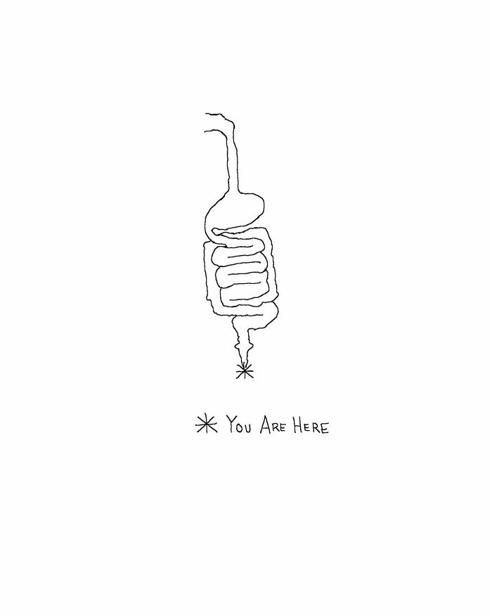 Simple black and white one-panel comic by Tom Reese showing a digestive tract with you are here marked humorously.