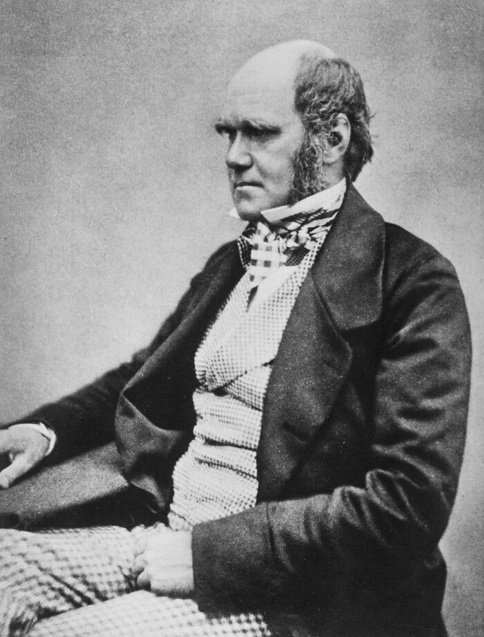 Black and white portrait of a late bloomer millionaire seated, dressed in 19th century formal attire with sideburns and a serious expression.