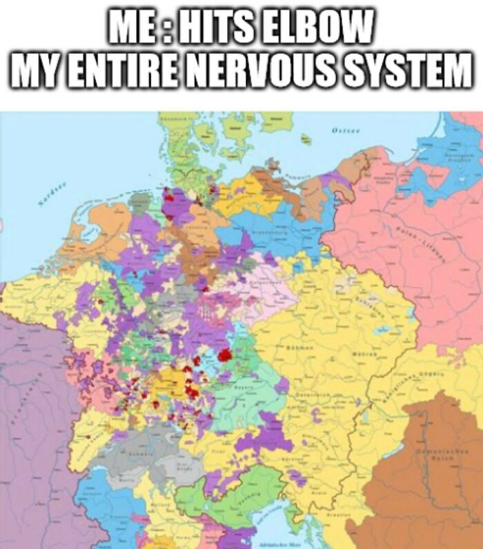 Colorful historical map with text humor about hitting elbow and nervous system, related to history memes and past learning.