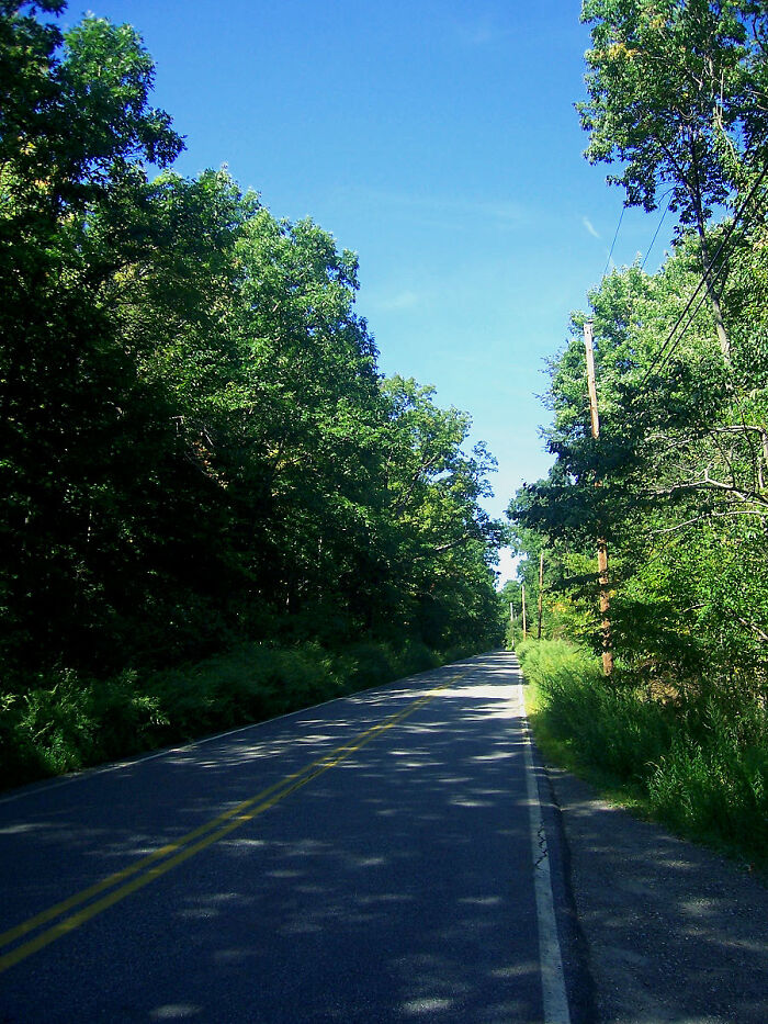 Empty rural road surrounded by dense trees under a bright blue sky, evoking unsettling Wikipedia articles atmosphere.